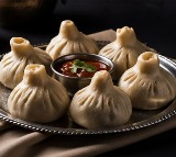 Dog Meat Found in Punjab Momo and Spring Roll Factory