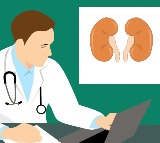 Seven Leading Causes of Kidney Stones You Should Know