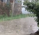 Telangana Faces Crop Damage from Hailstorm; Rain Expected Until Monday