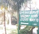 Boy, girl found hanging from tree in Delhi park