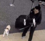 Shocking Woman Drowns Pet Dog in Airport Bathroom