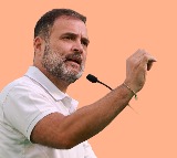 Allahabad Court Gives 4 Weeks to Centre on Rahul Gandhis Citizenship