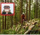 Supreme Court equates mass tree felling to murder