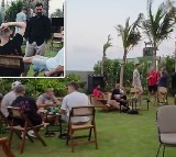 Dinesh Karthik Hosts RCB Team Dinner Viral Video