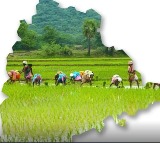 Telangana Begins Rice Exports to Philippines