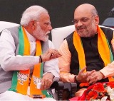 BJP to Get New Chief by Month End