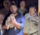 Anant Ambani Saves Hundreds of Chickens During Dwarka Yatra