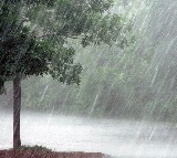 Unseasonal rains again damage agriculture crops in Telangana