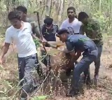 BRS urges SC to take cognisance of deer’s death after tree felling near HCU