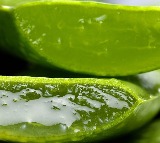 Truth About Aloe Vera: It’s More Powerful Than You Think