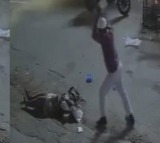 Pregnant Woman Critically Injured After Husband’s Brick Attack in Hyderabad