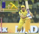 Dhonis Controversial LBW Decision Sparks Outrage