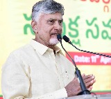 Government Colleges Excel in Intermediate Results: Chief Minister Chandrababu