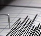 Earthquakes hit India, other Asian nations