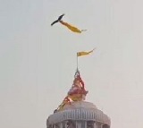 Vulture Steals Flag from Puri Jagannath Temple