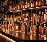 AP Liquor Scam SIT Raids Meghana Reddys Residence