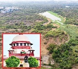 Supreme Courts Stern Warning on Gachibowli Tree Felling
