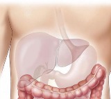 World Liver Day: Fix food habits to cut liver disease risk by 50 pc