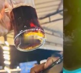 Lizard Found in Cool Drink Youth Falls Ill