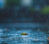 Andhra Pradesh Rain Forecast Surface Trough Brings Showers