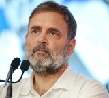 Rahul Gandhi's 'dual citizenship': Allahabad HC asks MHA to file report by May 5