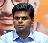 Annamalai to Rajya Sabha from Andhra Pradesh