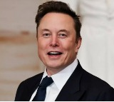 Elon Musks Warning Block Hot Girls Messaging About Crypto