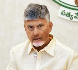 Let Us Make PM Modi's Amaravati Visit a Grand Success: CM Chandrababu Naidu