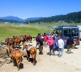 Kashmir Sleeper Cells Active 48 Tourist Sites Closed