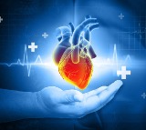 Improve Heart Health Naturally 5 Daily Habits