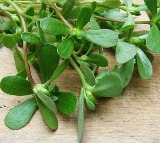 This Leafy Green Can Help Protect Your Heart, Manage Diabetes