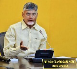 CM Chandrababu Reviews Horticulture Sector