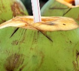 Coconut Water Benefits and Risks of Excessive Consumption