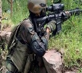 Pulwama Encounter One Terrorist Killed in Gunfight