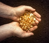 French Farmers 35000 Crore Gold Discovery Halted by Government