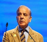 Shehbaz Sharif Ancestors Kashmiri Pandits Says British Author