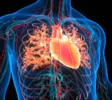 How Poor Sleep Can Trigger Serious Cardiovascular Changes