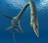 Trascasaura sandrae Unveiled 85 Million Year Old Sea Monster Mystery Solved