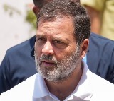Non-Bailable Warrant Issued Against Rahul Gandhi