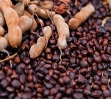 Ancient Remedy: The Hidden Power of Roasted Tamarind Seeds