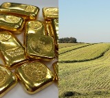 Gold vs. Land: Which Is the Better Investment in 2025?