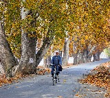 Daylight can boost immune systems ability to ward off infections Study