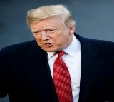 Absolutely crazy: Trump slams Putin, Zelensky for escalating Russia-Ukraine war
