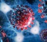 Two New COVID Variants Detected in India