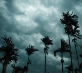 APSDMA Announces Southwest Monsoon Entry in Rayalaseema
