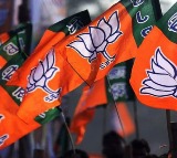 BJP Delhi Elections Spending Revealed
