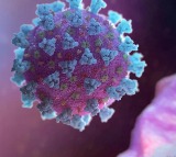 Highly Infectious New COVID Variant From China Detected In US