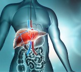How Diabetes Affects Liver Health: Key Warning Signs