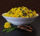 Is Dandelion Root Effective for Fatty Liver?