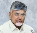 Chandrababu Naidu to Leave for Delhi After Mahanadu